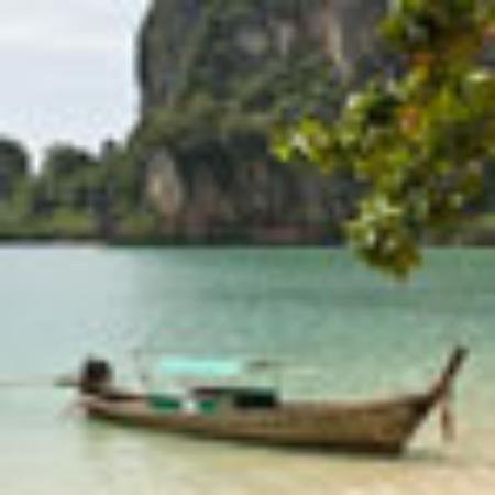 Kim Myungja's Octopus Yard